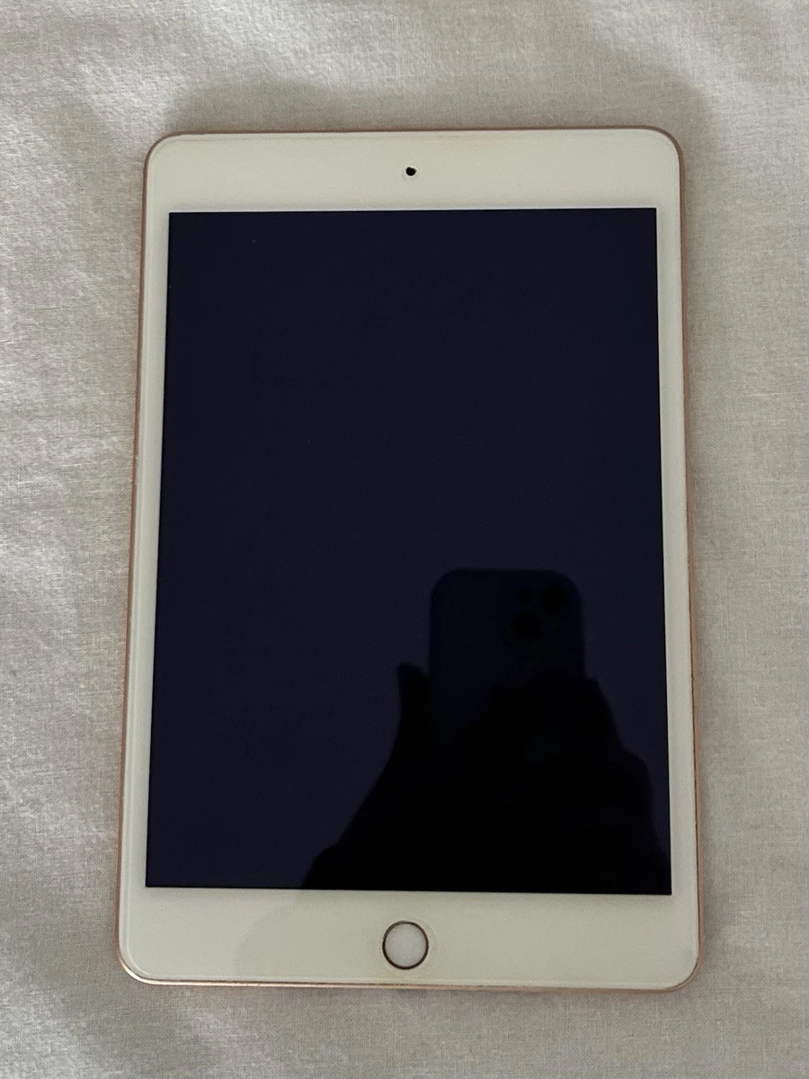 Apple iPad Mini (5th Generation) 256GB for sale - eBay