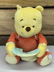 Winnie The Pooh Plush Disney Baby W/ Blanket Playing Peek A Boo - Talks- Works - Picture 1 of 10