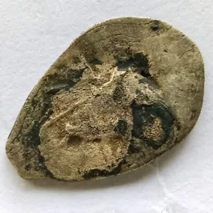 Zar ruso medieval plata Kopek moneda kopeck Rusia Edad Media - Imagen 1 de 5