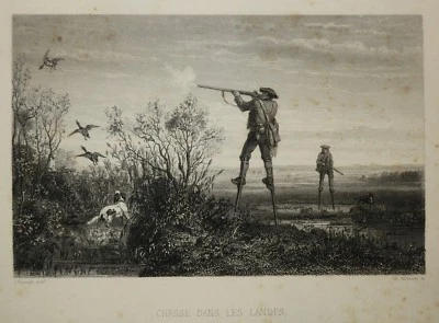 ÉCHASSES - D'après VEYRASSAT "CHASSE DANS LES LANDES". Gravure du 19ème - Photo 1/2