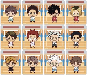 ¡¡Haikyu!! Juego de Cartas Acrílicas Trading Chokonto 12 Personajes Ver.B Colección - Imagen 1 de 1