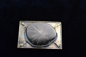 silver belt buckle with  Petrified Wood (Woodworthia) Round center piece - Picture 1 of 3