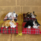 6 Types Mini Sleeping Cats Ornaments Soft Plush Model Toys  Home Car Decoration