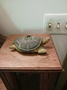 Vintage Turtle Folk Art Fishing Decoy - Picture 1 of 5