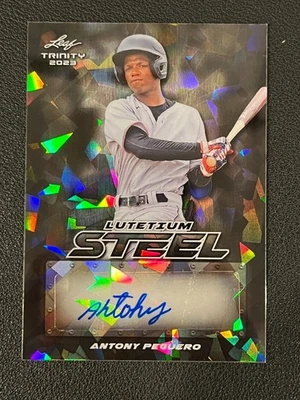 Antony Peguero 2023 Leaf Trinity Auto Steel /3 Marlins - Image 1 of 2