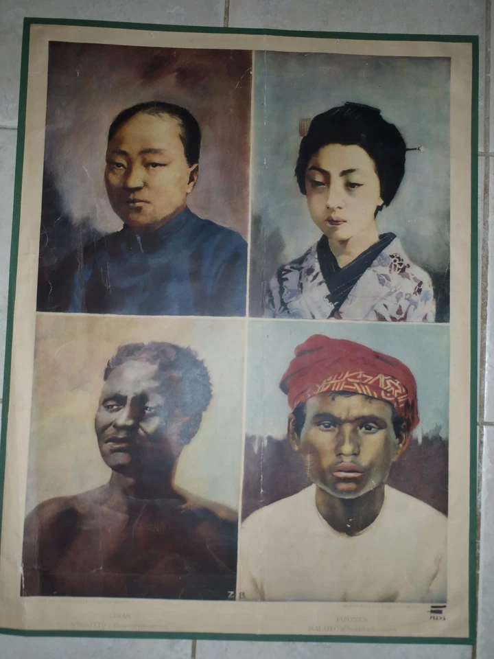 Original vintage médico pull down escuela carta la raza humana  Foto 1 de 1