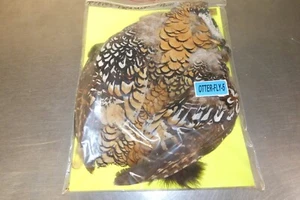 RARE REEVES PHEASANT PRIME TAXIDERMY BIRD SKIN FLY TYING - Picture 1 of 8