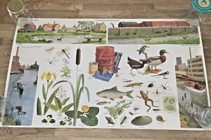 Vintage Poster Freshwater Wildlife Canal River 1976 John Rignall Environmental - Picture 1 of 8