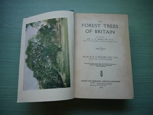 THE FOREST TREES OF BRITAIN by REV. C.A. JOHNS H/BACK 1912 10TH EDIT ILLUST - Picture 1 of 8