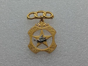 Daughters Of Rebekah Fraternal Order Pin - Picture 1 of 2