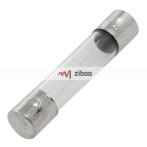 100 piezas fusible de vidrio 6 mm x 30 mm 4 amperios 250 voltios soplado rápido tono plateado transparente - Imagen 1 de 4