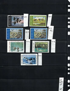 NY Duck Lotto DSS - Foto 1 di 1