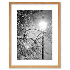 Street Lamp Winter Night Black White Photo Framed Art Print 9x7 Inch