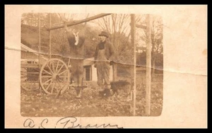 Postal RPPC ciervo colgante después de la caza - Imagen 1 de 2