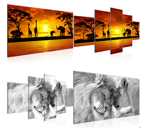 Wandbilder Wohnzimmer XXL - Afrika Tiere - Savanne Natur Landschaft