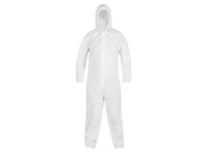 BlueSpot Disposable Coverall Large 170-178cm Elasticated Hood B/S19772