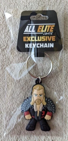 AEW Exclusive CHRIS JERICHO Keychain All Elite Crate 2023 - Wrestling WWE Cover
