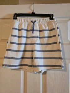 Vineyard Vines Boys' Saltwater Shorts Blue/White Stripe, Knit, Size Small (8-10) - Picture 1 of 6