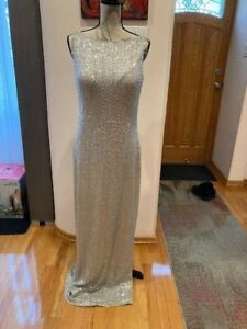 New w/tags in RL box Ralph Lauren evening collection silver long dress size 14