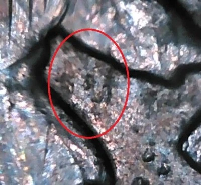 SN637 1981 D Kennedy Half Dollar No F Faded G MISSING DESIGNERS' INITIALS - Image 1 of 4