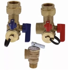 Jones Stephens 3/4" IPS Tankless Water Heater Valve Service Kit D05102 - Picture 1 of 8