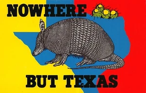 Vintage Postcard texas Cartoon Armadillo Nowhere But Texas AW-9 - Picture 1 of 2