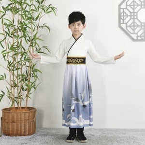 Boy Girl Ancient Chinese Hanfu Dress Oriental Traditional Outfit Cosplay Vintage - Picture 1 of 10