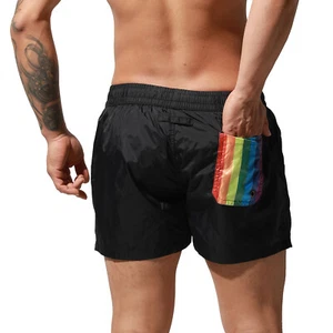 DESMIIT Para hombres Secado Rápido Arco Iris Pride Traje de Baño Gay Tablero Deportivo Pantalones Cortos Surf - Imagen 1 de 15