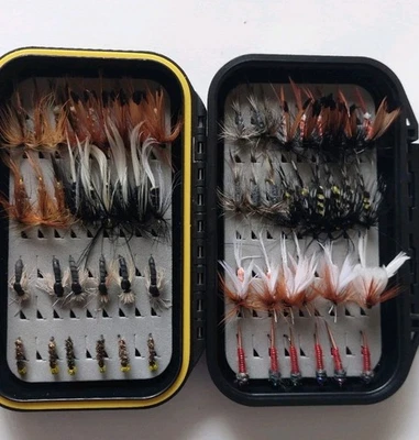 trout salmon fly fishing flies assortment box with 60 fly fishing flies  - Image 1 of 4