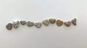 💕10 Naturally Heart Shaped Beach Stones .5-.75"Love Rocks pebble art craft #V2C - Imagen 1 de 14