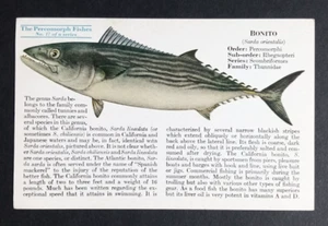 Bonito Fish Liver Oil Advertising Postcard c1930s Mead Johnson - Picture 1 of 2