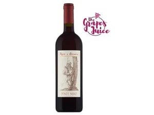 POJER E SANDRI PINOT NERO 2023 VINO ROSSO VIGNETI DELLE DOLOMITI IGT - Imagen 1 de 1