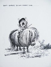 Image result for thelwell pony