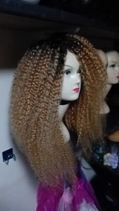 Brazilian Afro Kinky Human hair Wig - Picture 1 of 20