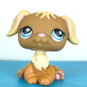 Authentischer Littlest Pet Shop #951 Golden Retriever Hund / Original Hasbro LPS - Bild 1 von 3