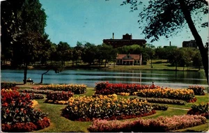 Loring Park Minneapolis Minn. Posted 1966 Chrome Flowers Chrome Postcard 6R - Picture 1 of 2