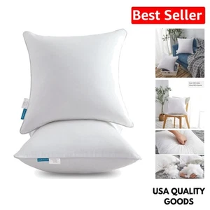 Soft & Fluffy 18x18 Decorative Pillow Inserts - 2-Pack for Luxurious Comfort - Picture 1 of 11