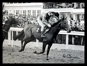 Peter Scudamore Signed Large Photograph ; A - Picture 1 of 1