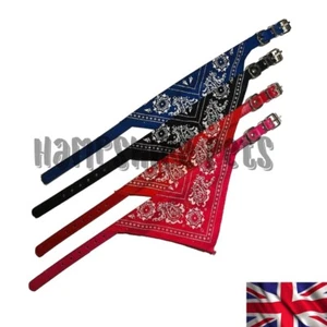 SALE - Dog Puppy Bandana Collar Stylish in Red Black Blue & Pink UK - Picture 1 of 1