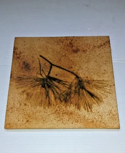 Piastrelle in ceramica arte da parete di aghi di ramoscello di pino fatte per assomigliare a fossili - Foto 1 di 11