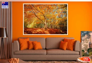 (Laminated) Autumn Tree Forest Photograph 91x61cm - Picture 1 of 6
