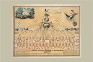 diagram of the US FEDERAL GOVERNMENT american union VINTAGE POSTER 20x30 hot - Picture 1 of 1