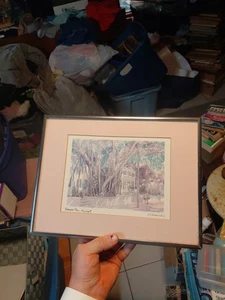 12x9" Metall gerahmter Druck oder Gemälde Banyan Baum in Key West, Florida. Kennedy - Bild 1 von 4