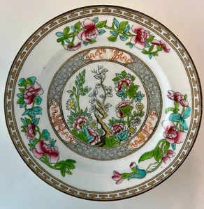 Coalport “Indian Tree” plate - Picture 1 of 2