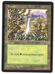 Magic The Gathering Mirage MIR Forest #348 Obra de Arte Cascada Tony Roberts De Colección Sin Usar Casi Nueva - Imagen 1 de 2