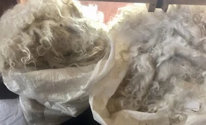8 oz RAW Angora Goat MOHAIR Fiber FELTING, SPINNING, Weaving, Santa & Doll Craft - Picture 1 of 3