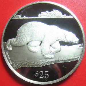 1993 BRITISH VIRGIN ISLANDS $25 SILVER PROOF POLAR BEAR WILDLIFE RARE BVI COIN! - Picture 1 of 5