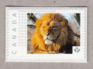 LEÓN = gran gato africano = Estampilla de franqueo foto montada Canadá 2016 [p16/03wc6/1] - Imagen 1 de 2