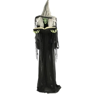 Haunted Hill Farm Life-Size Poseable Witch with Spell Book (HHWITCH-9FLS) - Picture 1 of 9