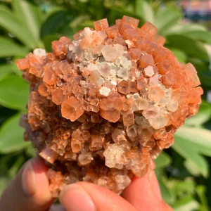 174G Aragonite Star Cluster from Morocco - natural crystal healing gemstone - Picture 1 of 15
